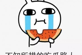 路人吃瓜娱乐圈,路人吃瓜，揭秘明星幕后故事